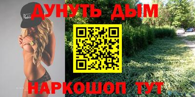 a pvp Обь