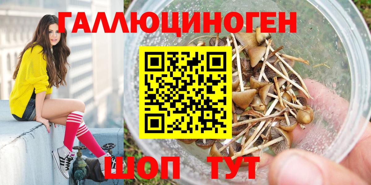 Семилуки  Галлюциногенные грибы Cubensis  Вход с VPN 