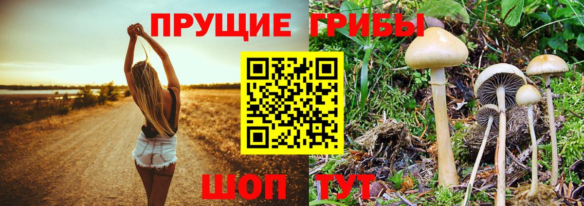 Галлюциногенные грибы GOLDEN TEACHER Семилуки