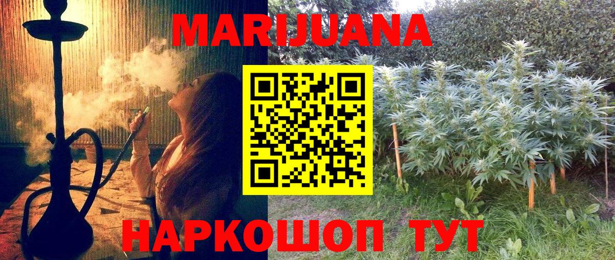 Марихуана планчик  Шишки марихуана сатива  Вход с VPN  Каннабис Ganja  Семилуки  Каннабис конопля 